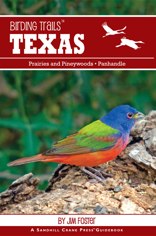 New Book from Jim Foster: Texas Birding Trails – Prairies, Pineywoods ...