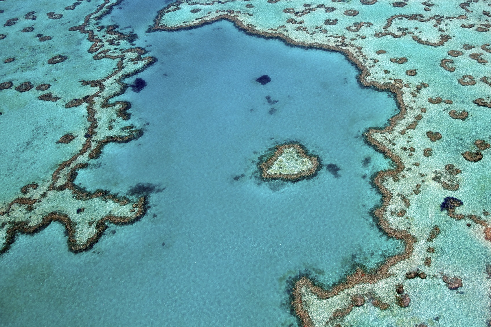 Australia Debuts Great Barrier Reef Sustainability Plan | ActionHub