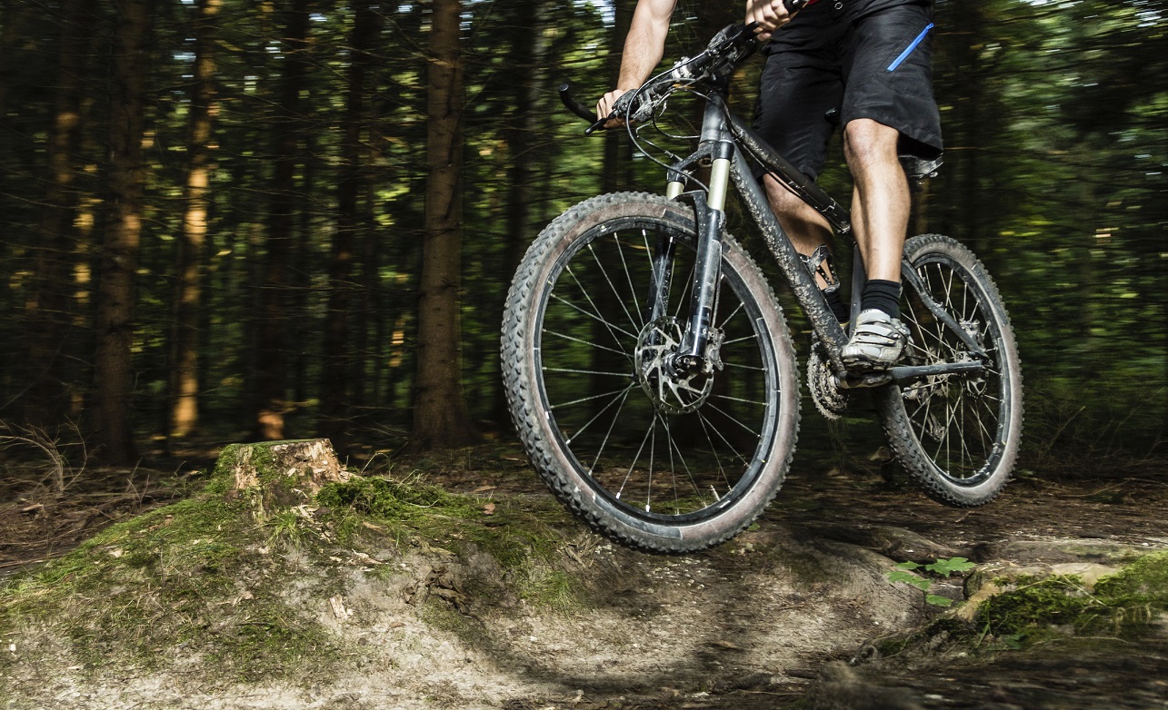 Berkshire east outlet mountain biking