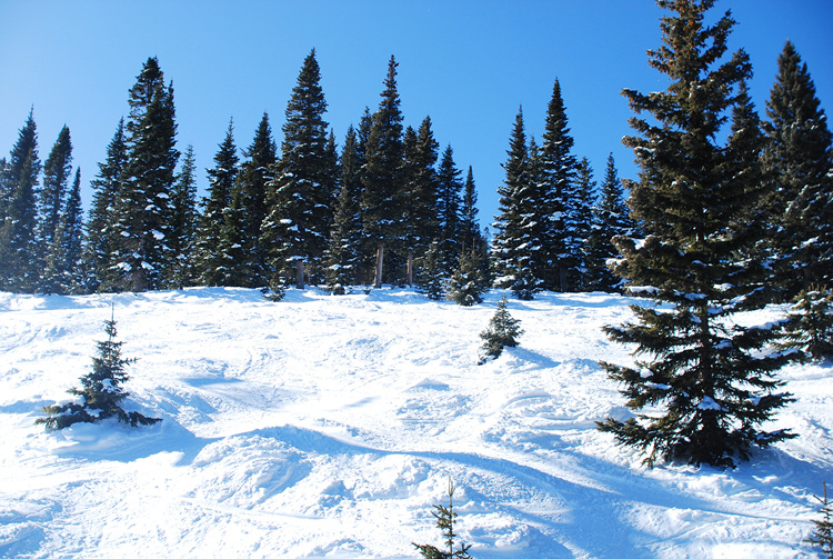 overnight parking wolf creek ski area