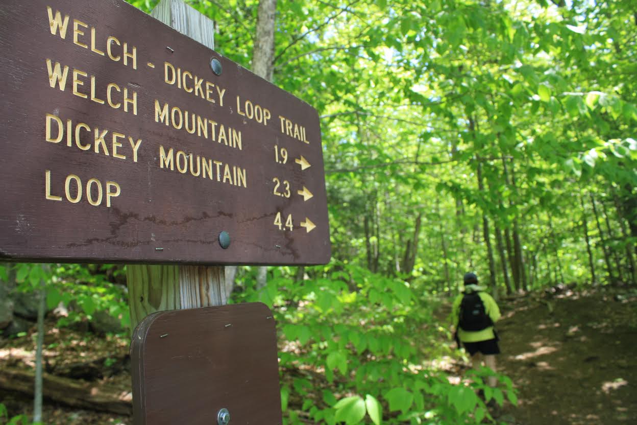 50 Best Hikes In New England New Hampshires Welch Dickey Loop Actionhub 