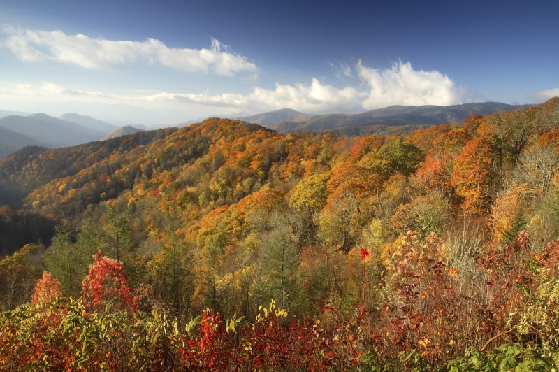 Thru-hike the Appalachian Trail | ActionHub