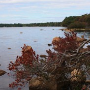 The Walkabout Trail skirts the shores of Bowdish Reservoir. Image by Marty Basch.