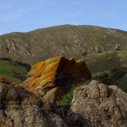 Mission Peak attracts the multitudes.