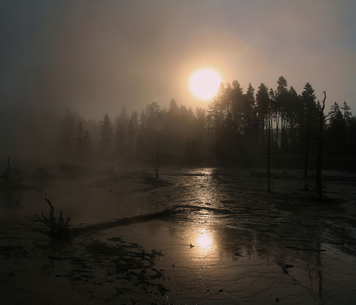 Solar coronae over hot springs in Yellowstone National Park. Image by Brocken Inaglory.