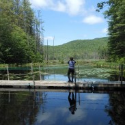 The mile-long trail around Quincy Bog in Rumney, New Hampshire includes wooden planks allowing visitors to walk over water. Photo by Marty Basch.