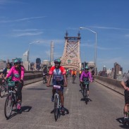 New York's TD Five Boro Bike Tour is now part of the World Association of Cycling Events. Image courtesy of WACE.