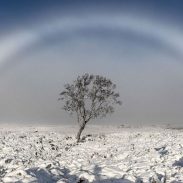 Fogbow in Scotland | ActionHub