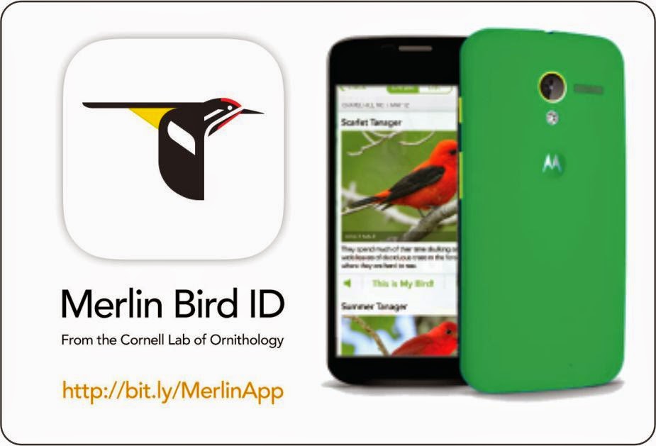 Bird identification apps for android