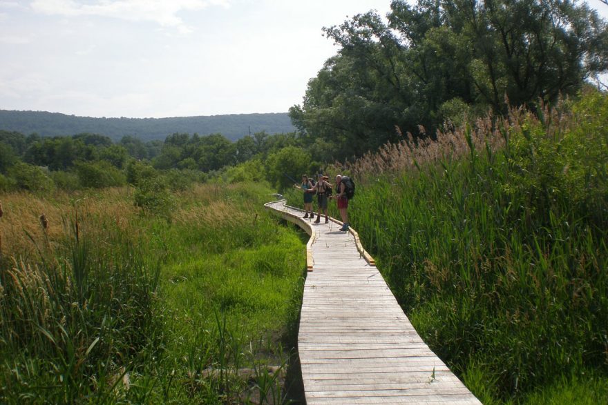 All You Need To Know About Planning Your Appalachian Trail Thru-Hike | ActionHub