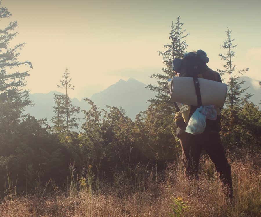Outdoor Survival Skills Everyone Should Master | ActionHub