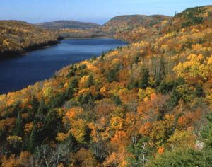 5 Michigan Trails that Lead to Autumn Gold | ActionHub