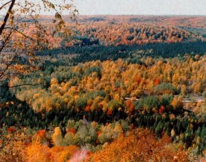 5 Michigan Trails that Lead to Autumn Gold | ActionHub