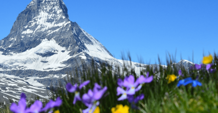 Switzerland Opens World's Longest Pedestrian Suspension Bridge | ActionHub