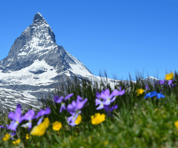 Switzerland Opens World's Longest Pedestrian Suspension Bridge | ActionHub