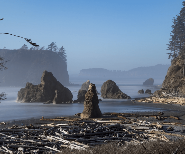 North Coast Route: Shi Shi Beach to Cape Alava, WA | ActionHub