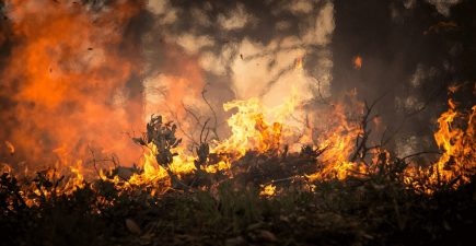 Wildfires Abound in U.S. National Parks | ActionHub