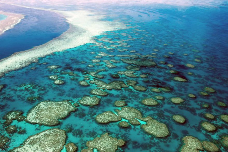 Explore the Great Barrier Reef without traveling to Australia | ActionHub