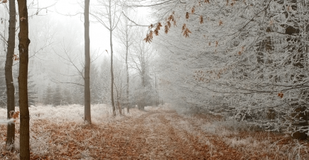 Incredible winter hikes near Seattle | ActionHub