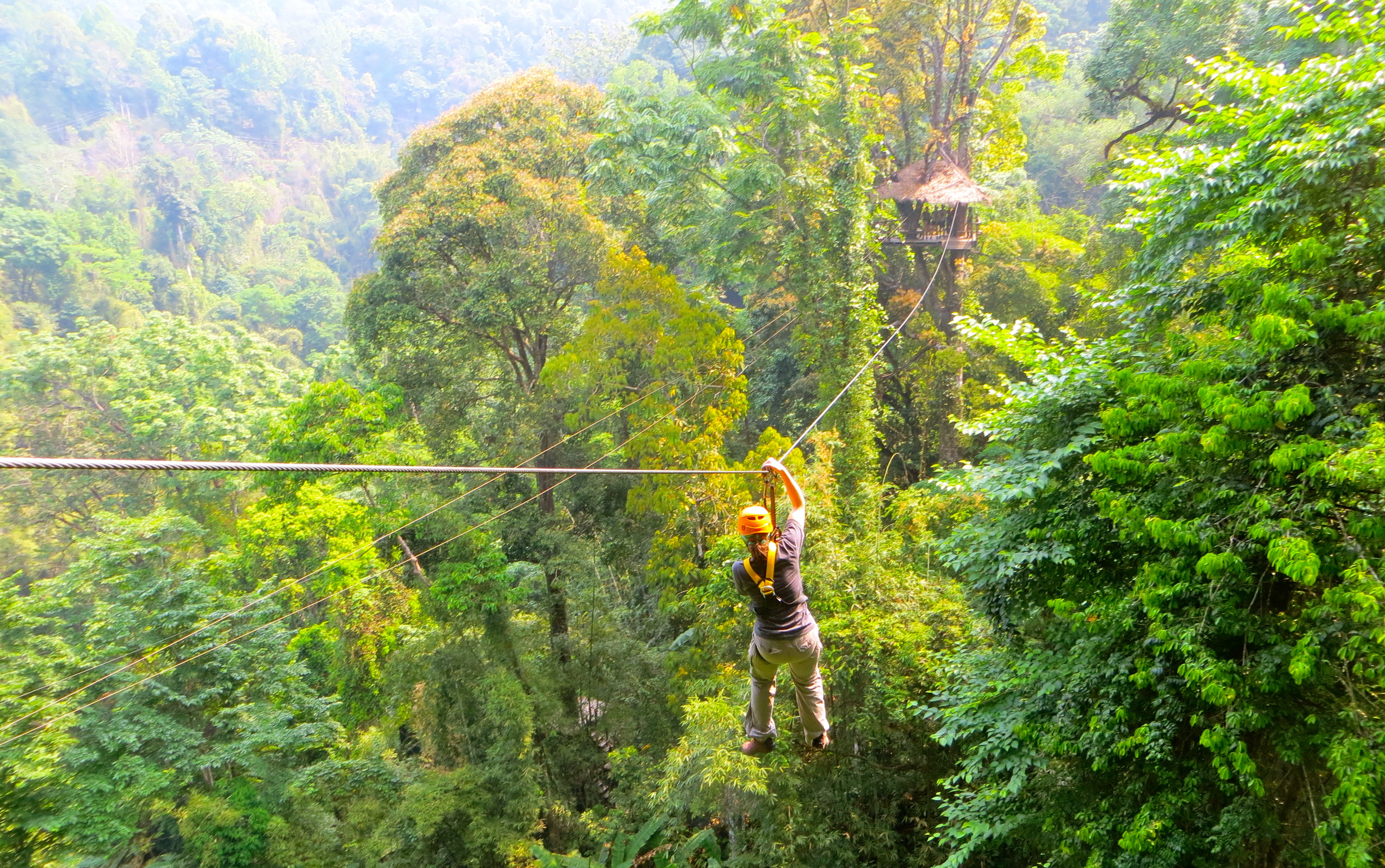 Top zip lines to travel to ActionHub