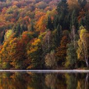 Best places to see fall colors in the U.S. | ActionHub