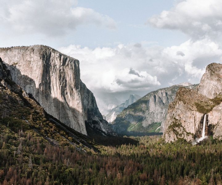 Thousands sign petition opposing new Starbucks at Yosemite | ActionHub