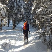 Top reasons to try out backcountry skiing | ActionHub