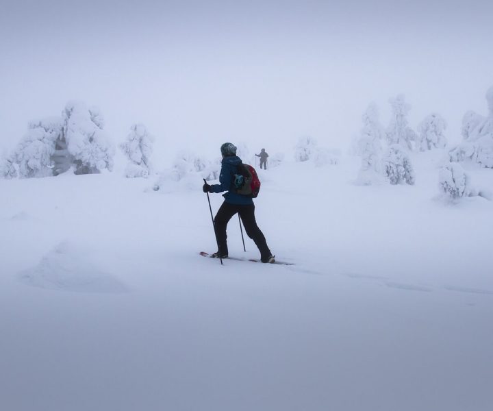 Want to try snowshoeing? Head to Trillium Lake | ActionHub