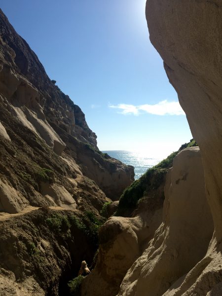 Ho Chi Minh Trail in La Jolla, California | ActionHub