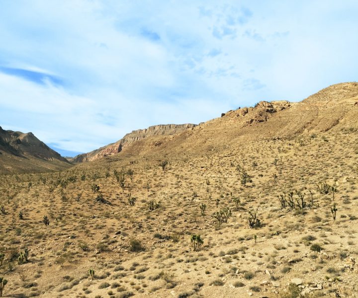 alipine-butte