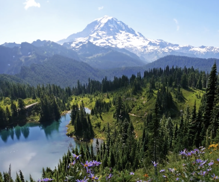 mount-rainier-national-park