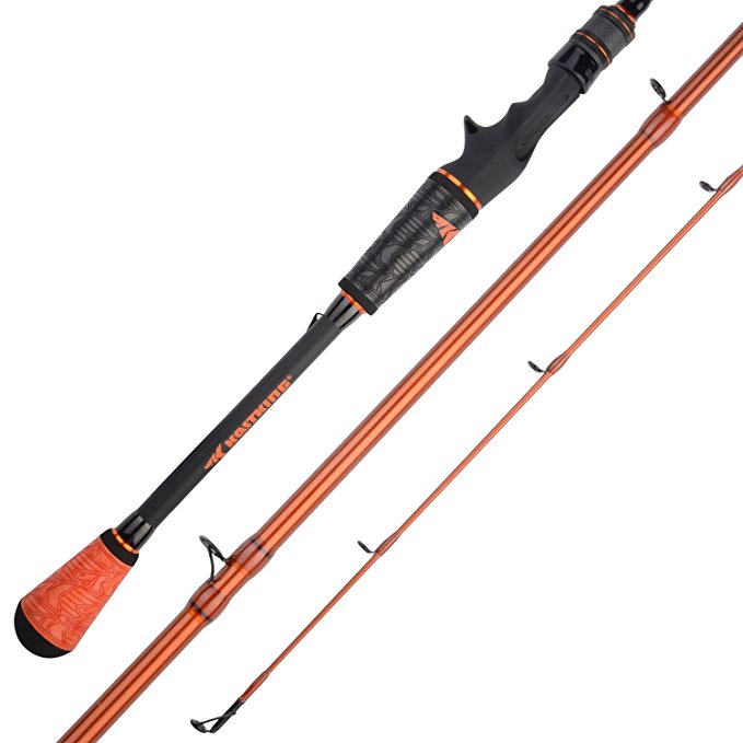 Collapsable Fishing Pole 1