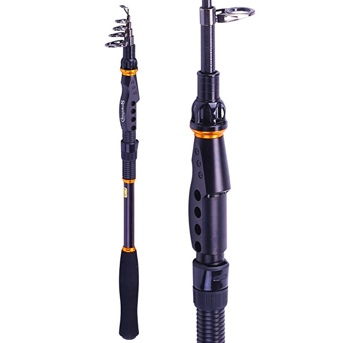 Why You Should Buy a Collapsible Fishing Pole