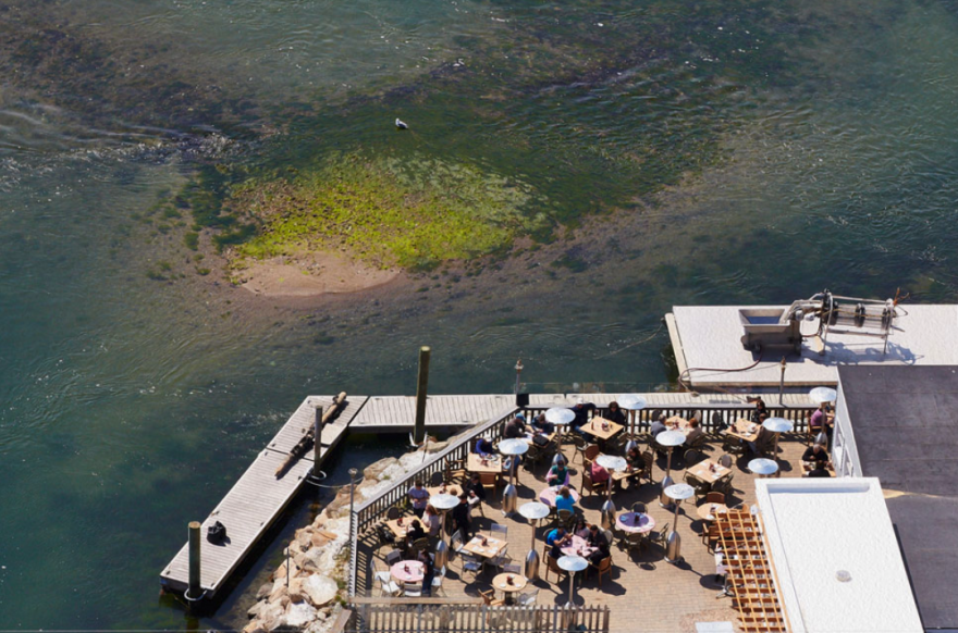 matunuck oyster bar