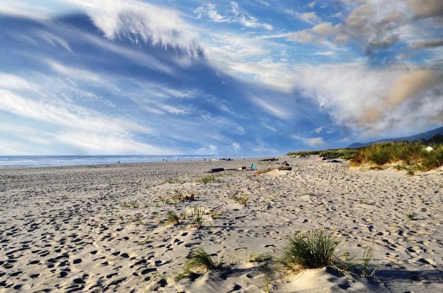 Nehalem Beach Of Oregon