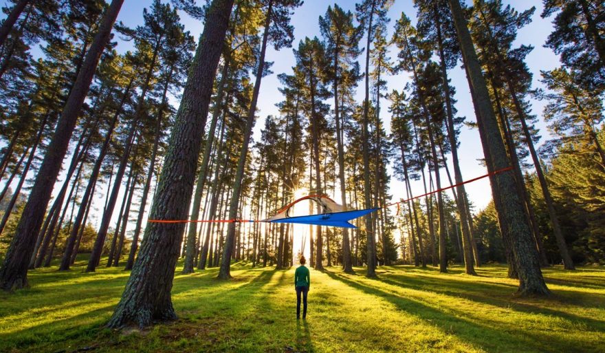 tentsile 1