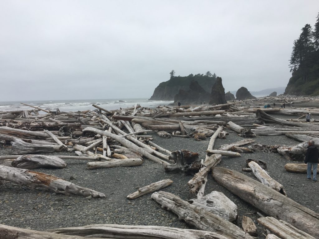 Experiencing The Rocky Shores of Ruby Beach | ActionHub