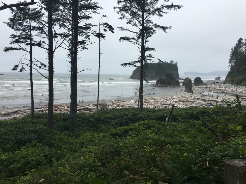 Ruby Beach 4