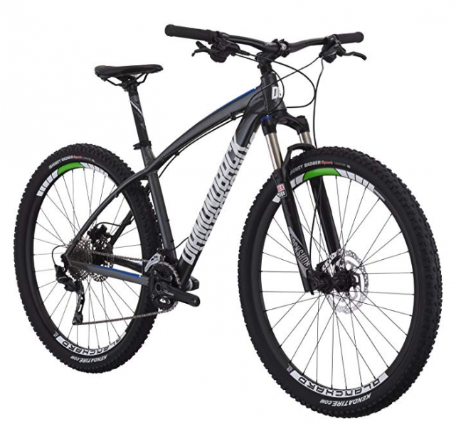 Diamondback 10 speed bike online