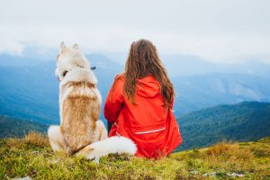 hiking with dogs