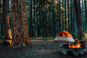 wooded campground