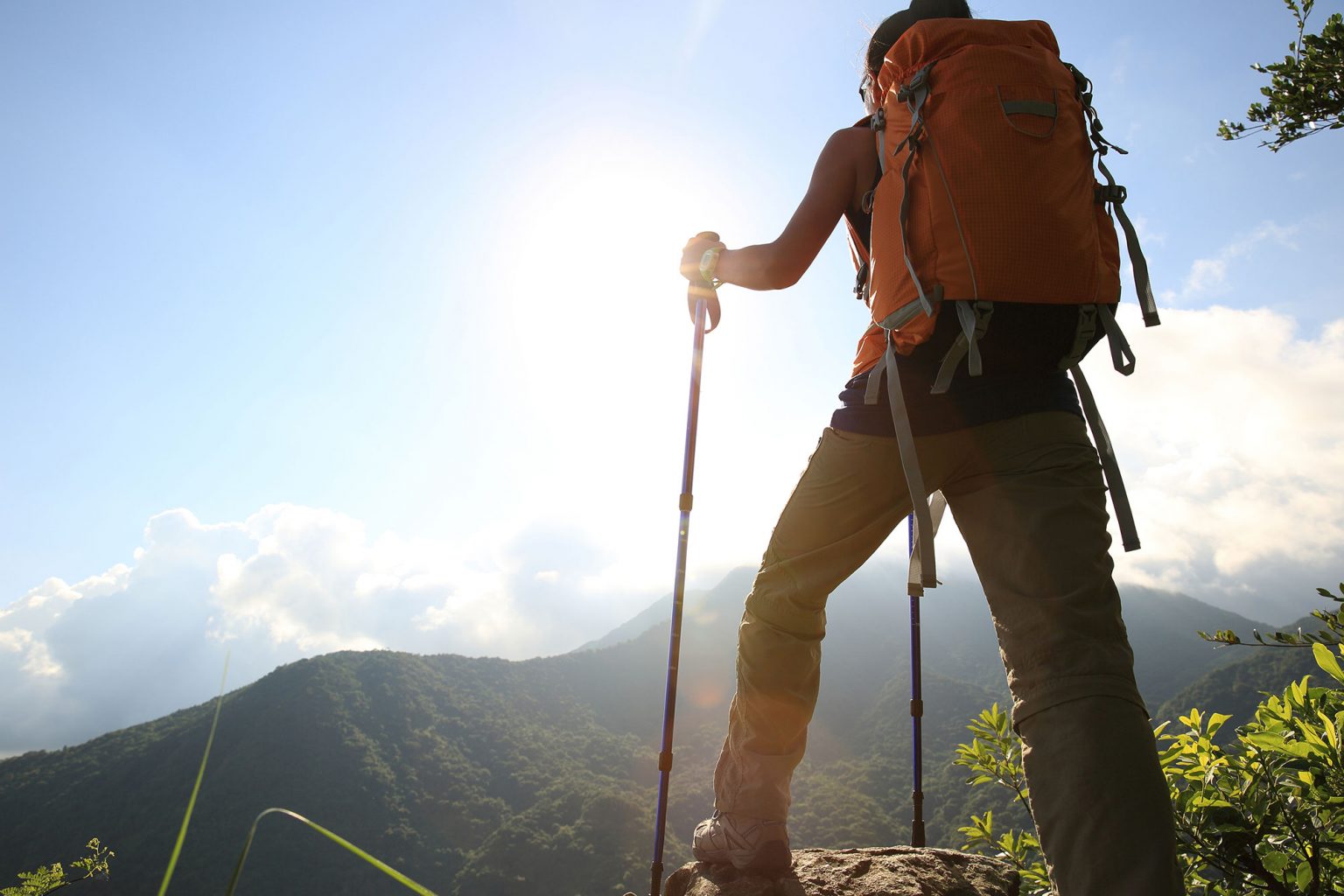 Know the Pros and Cons of Using Hiking Poles | ActionHub