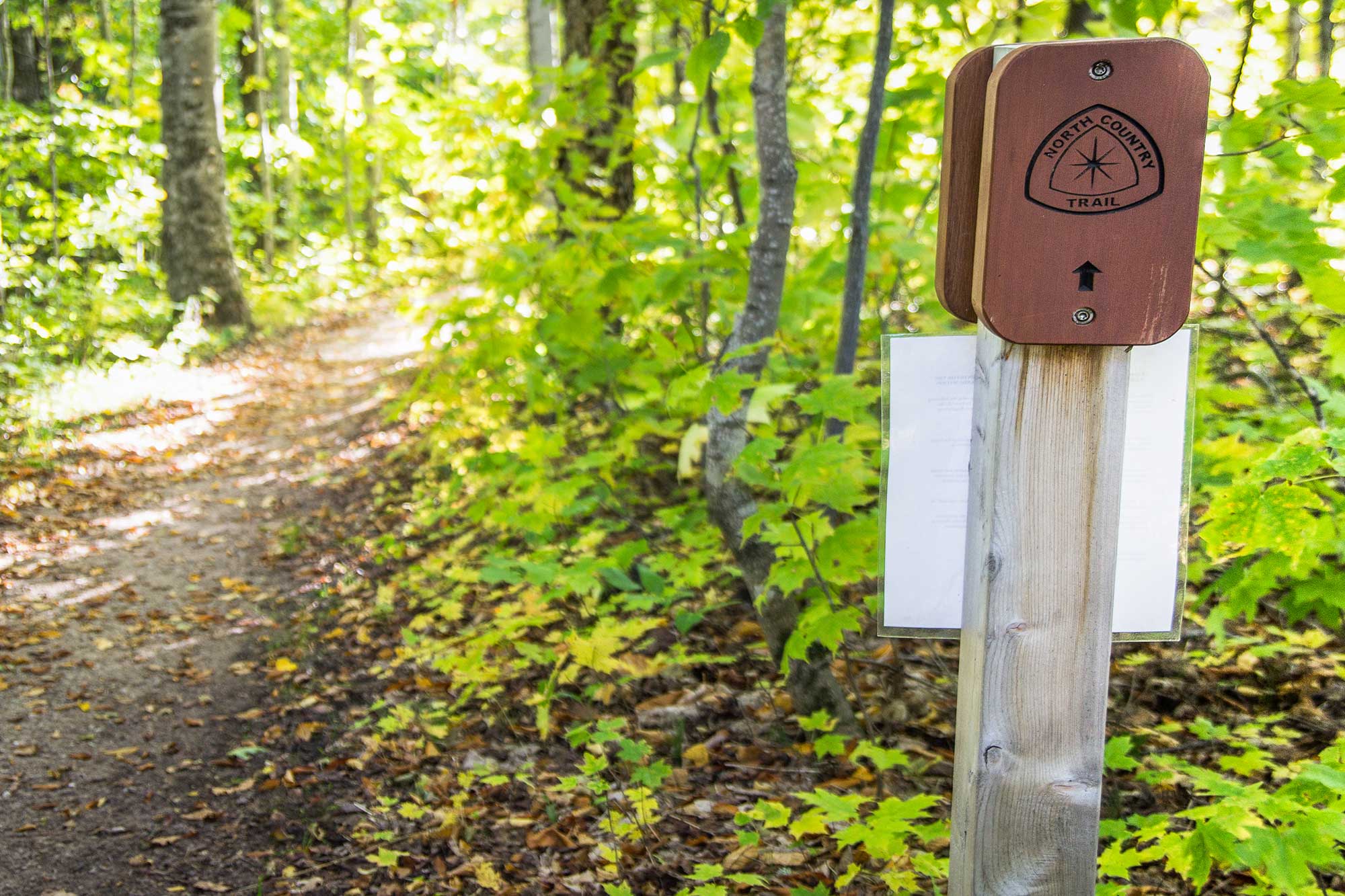 9 Amazing North Country Trail Facts ActionHub