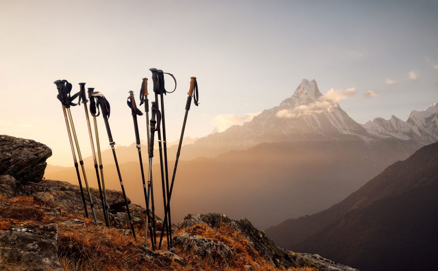 best trekking poles