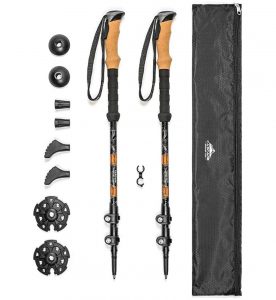 Cascade-Mountain-Tech-Hiking-Poles