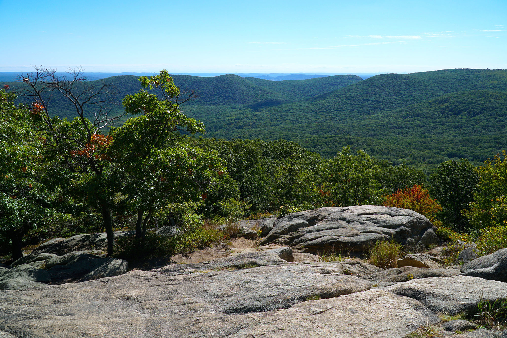 5 Best Hiking Trails in New York State | ActionHub