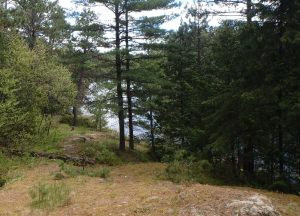 mead_wilderness_campsite