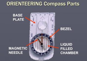 orienteering-compass