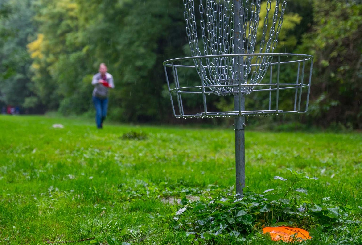 Beginner Disc Golf Sets & Tips to Know ActionHub