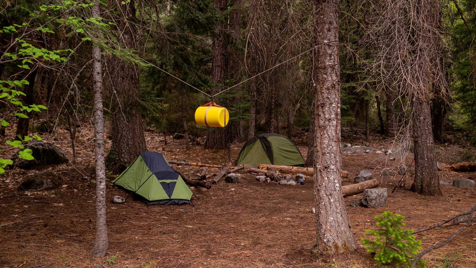 Bear proof food containers